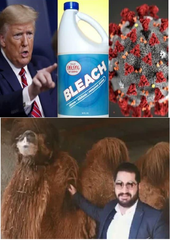کرونا